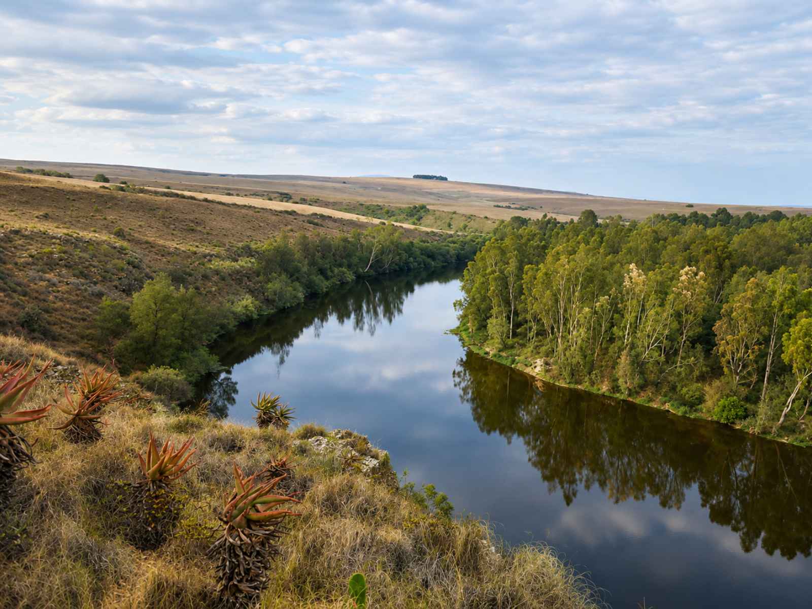 Falcon River Reserve - the 1.6 km viewpoint trail