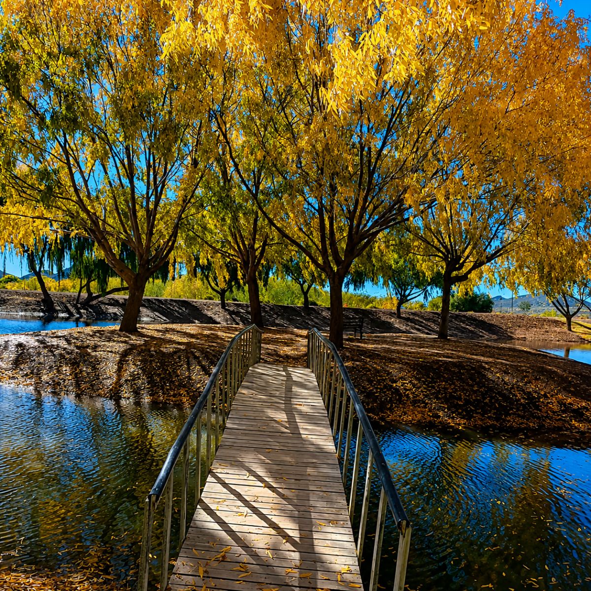 Leeuwenboschfontein Guest Farm - the bridge across to the island