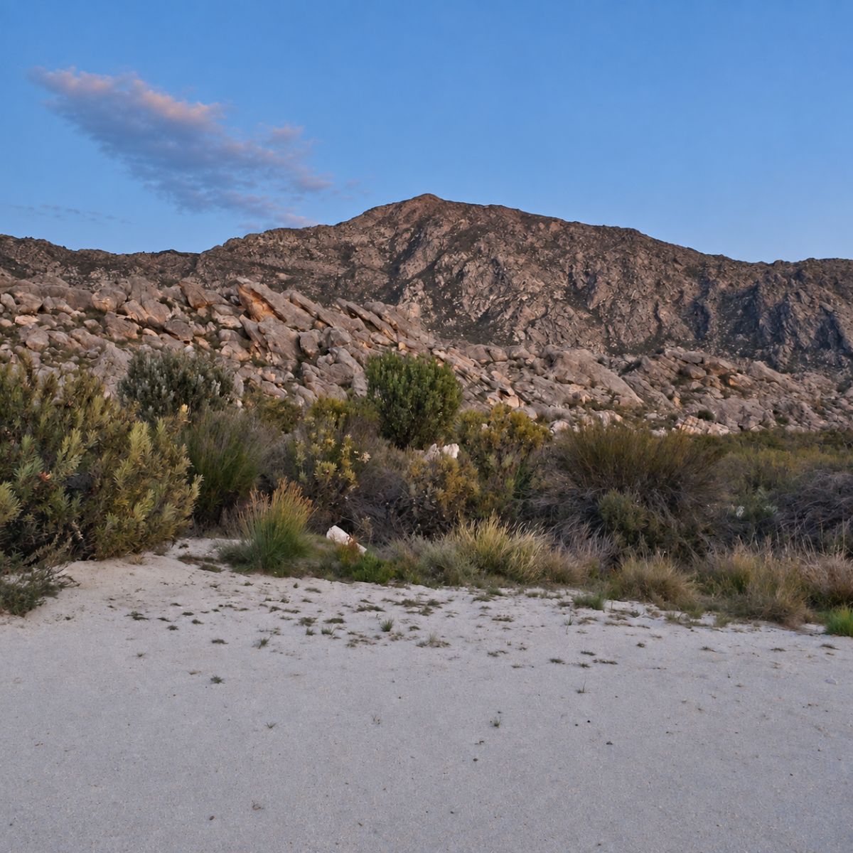 Schoongezicht Campsite - camp under the Skurweberg
