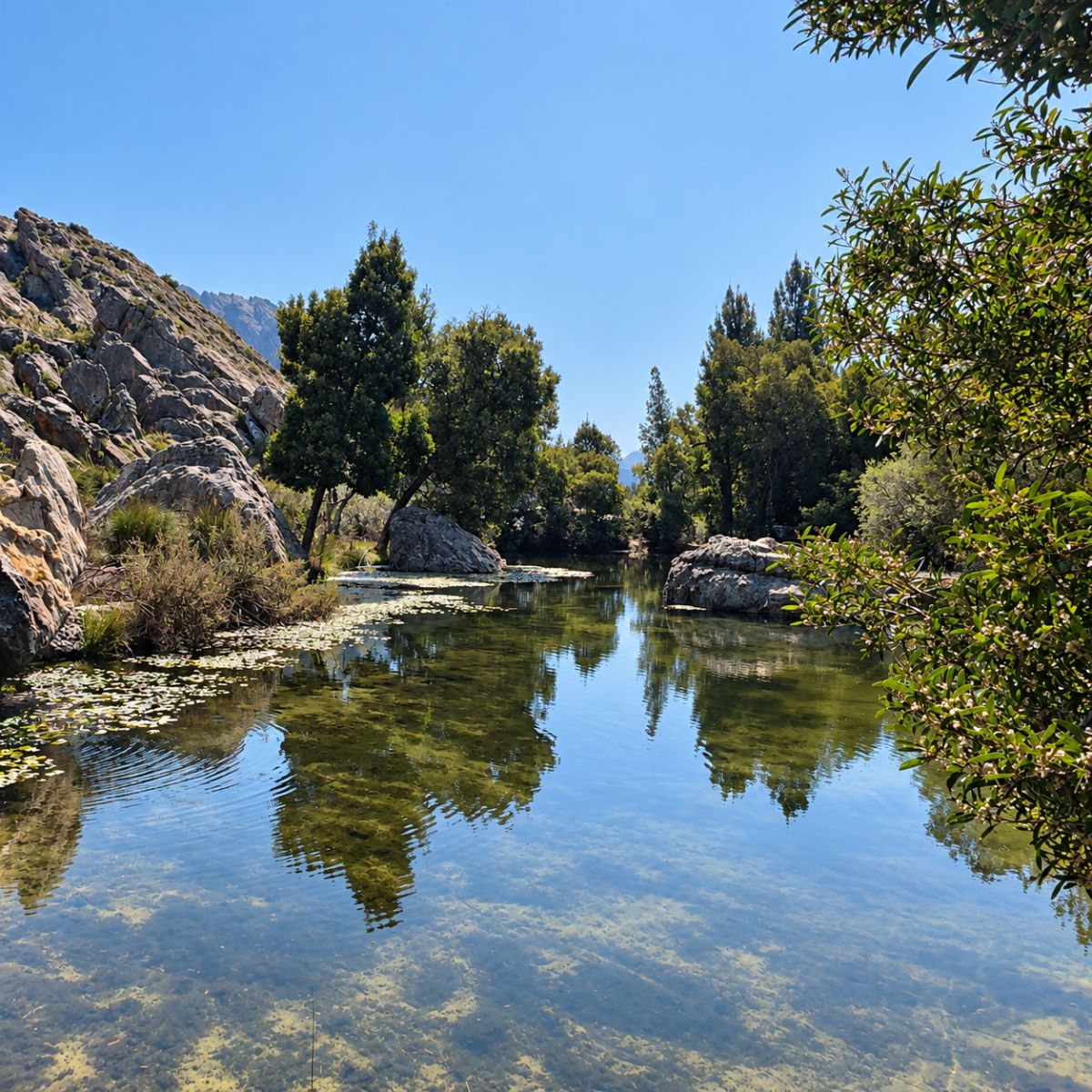 Schoongezicht Campsite - the main swimming area