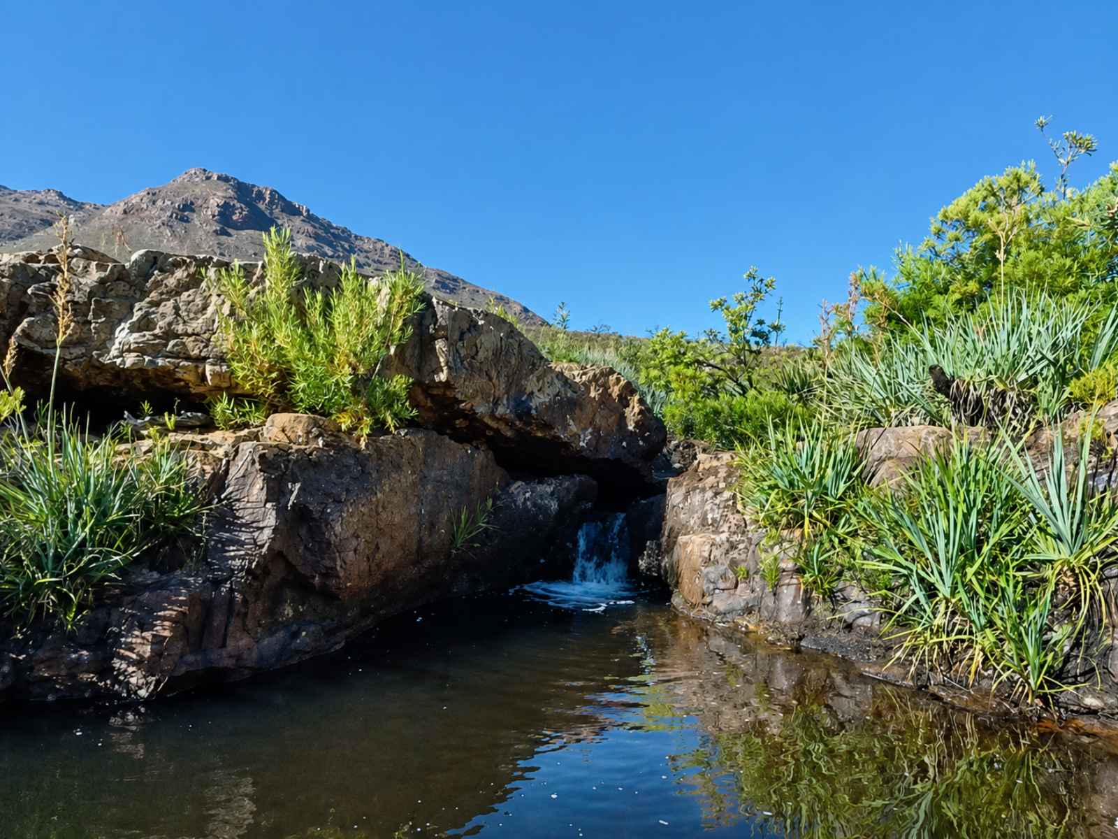 Suikerbossie Guest Farm - rock pools at the pump house